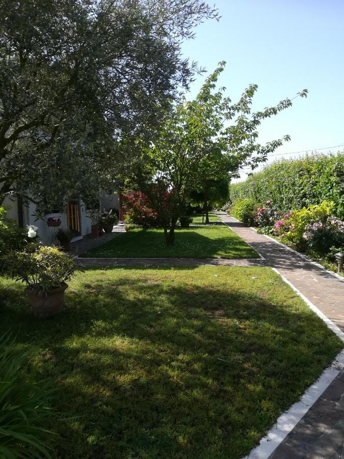 Casa Pianta Otel Cavallino-Treporti Dış mekan fotoğraf