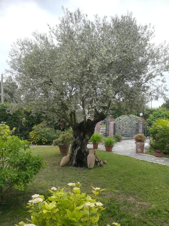 Casa Pianta Otel Cavallino-Treporti Dış mekan fotoğraf